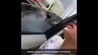 Download lagu makan daging anjing dengan sayur kol - video lucu mp3 Download lagu makan daging anjing dengan sayur kol - video lucu mp3