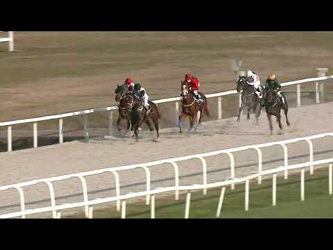 2021.11.07. 06. futam - BENSON VILMOS EMLÉKVERSENY - LOVASUTÁNPÓTLÁS HENDIKEP (V.o.) (szintetikus)