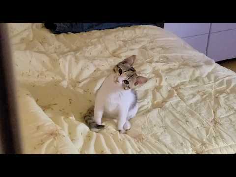 왜 그렇게 쳐다봐