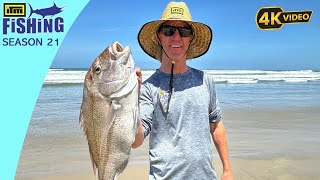 Surfcasting, Drone Fishing, and Netting Mullet. Snapper, Gurnard, Mullet and Live Baits.