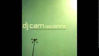 DJ Cam - Love junkee (dub mix)