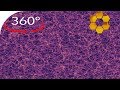 ⭕ The Millenium run simulation  in 360°