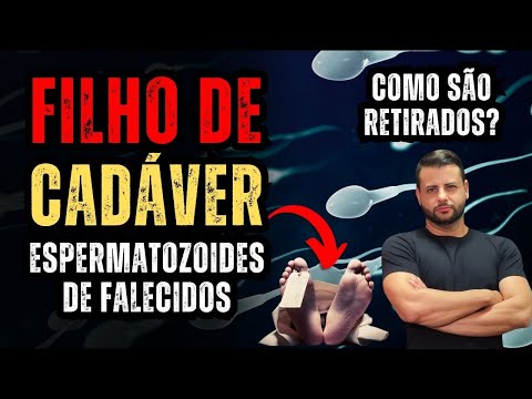 Vídeo