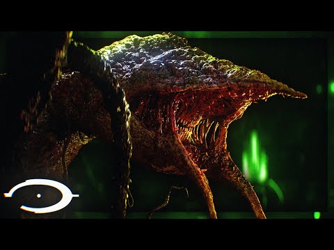 The TERRIFYING REALITY of the Gravemind