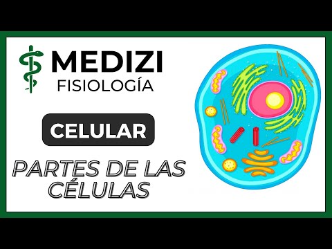 Cell Physiology - The Cell, Parts and Functions (IG:@doctor.paiva)