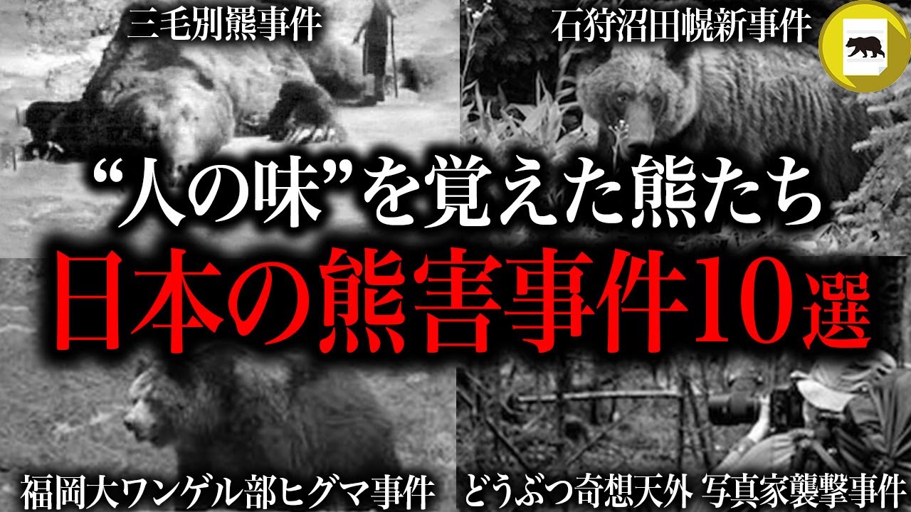【熊事件・総集編】人を襲い食べる熊たち…。日本の熊害事件10選【ヒグマ・ツキノワグマ】