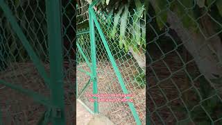 Download lagu menziarahi kubur Tuan Haji Ahmad bin Tengku Lomos. Tokoh yang membuka Maran. #maran #PermaiMenulis mp3