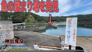 堤防の間が魚のたまり場！この漁港が凄すぎた！【神出鬼没！アジ調査隊#2】