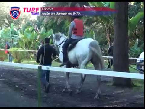 FLOREAL NEWS - RACE MEETING 22 (19.08.2017)