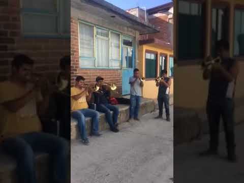 Banda flor de oro