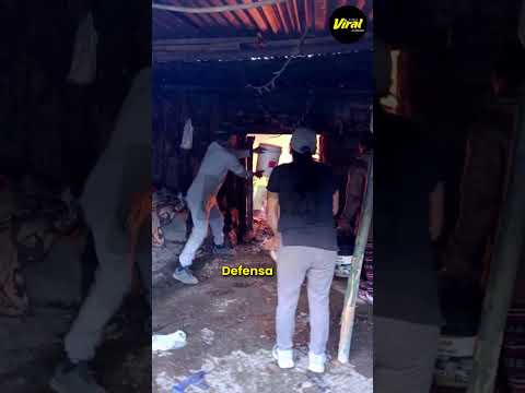 Arequipa: profesor lo pierde todo en voraz incendio