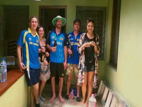 Kandy City Monkey - Kandy - Sri Lanka