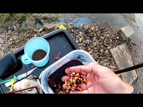 SECERAC U COKOLADI - FIDER RIBOLOV (4K VIDEO)