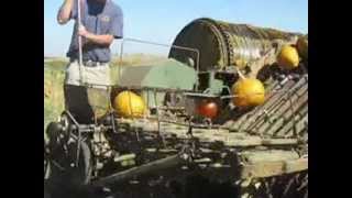 Tökkombájn eladó - egyedi gyártás, jó állapotban, tökmagmosóval