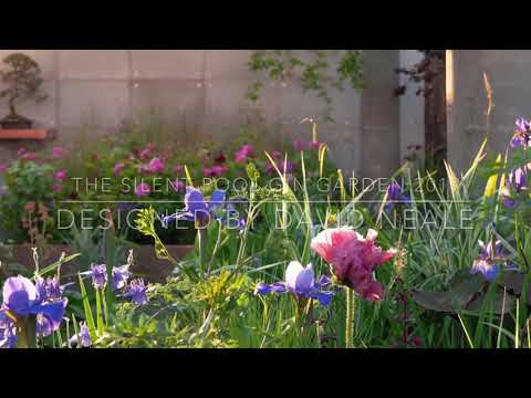 David Neale Landscapes video.