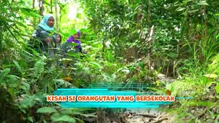 Download lagu Kisah Si Orangutan Yang Bersekolah | SI OTAN (13/02/24) mp3