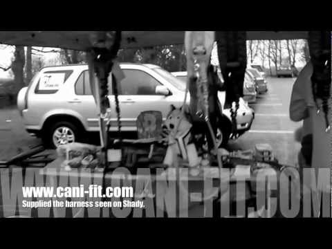 Canicross Anglais - canicross Canicross Anglais - canicross