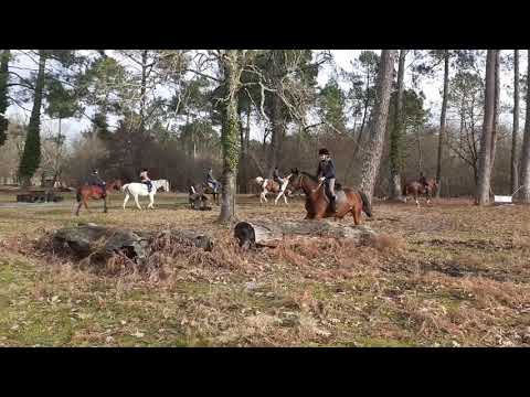 23/12/20 Séance Galops 1/2/3 un saut sur le cross