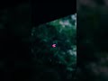 Husn Anuv Jain WhatsApp Status Video Husn Whatsappstatus Anuvjain Youtubeshorts