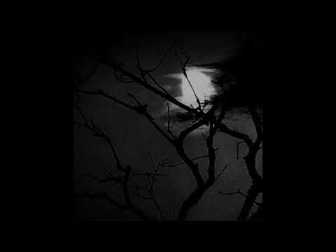 [FREE] "Dark" - Luv Resval x Laylow Type Beat (prod. fijiwa)