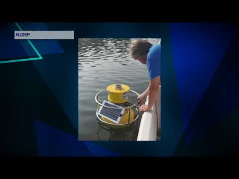 Lake Hopatcong Algae