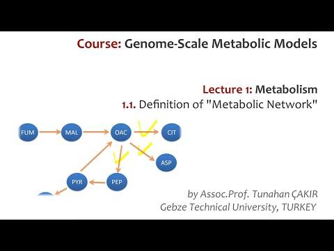 Lecture 1.1 - Metabolic Networks | Genome Scale Metabolic Models