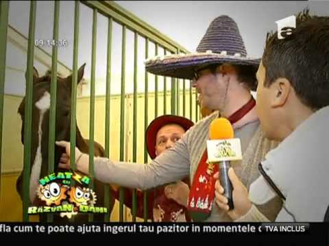 "Dezgustatorii" au vizitat cel mai mare targ de agricultura al toamnei