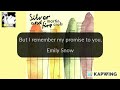M. Craft - Emily Snow [karaoke]