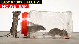 Best & Easy Mouse Trap - DIY Mouse Trap - Rat Trap Homemade