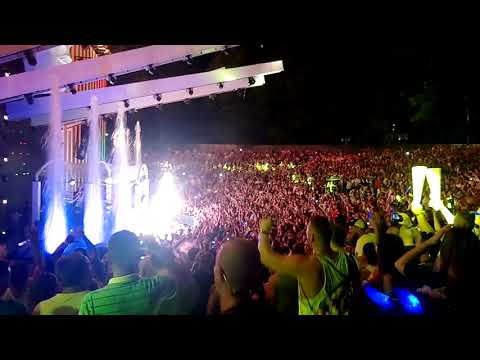 sunrise festiwal 2018 -disciples 2