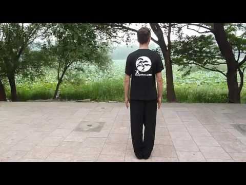 8 Brokate von hinten - Ba Duan Jin, nach Prof. Zhang Guangde