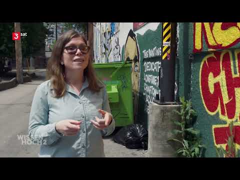 Das erstaunliche Leben der Ratten Doku (2024)