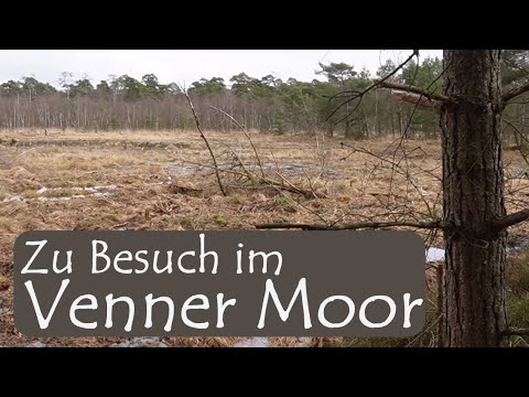 Venner Moor - Ein seltenes Paradies für bedrohte Arten | mit Martin Maschka