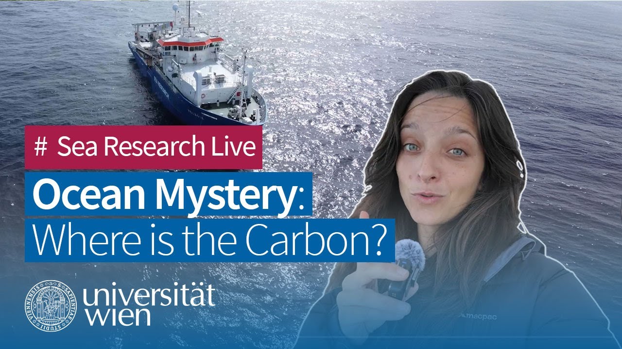Oceanic Microbial Secrets: How Anaerobic Zones Control Emissions of Potent Greenhouse Gas N₂O