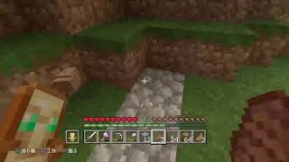[マインクラフト配信］ゆるく世界を生きていく　初見様andコメント大募集［概要欄必読］
