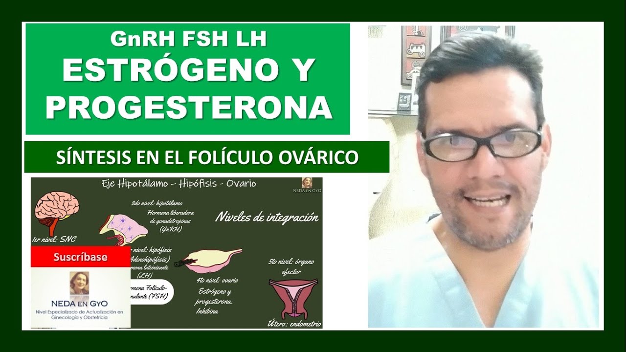 ESTRÓGENO Y PROGESTERONA. Sabes ¿DÓNDE Y CÓMO? se sintetizan. Eje Hipotálamo-Hipófisis-Ovario.