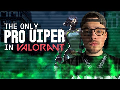 Why POACH is the Only Pro Viper in NA | Andbox VALORANT