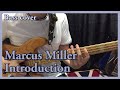 Marcus Miller - Introduction (bass cover)