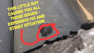 2011 - 2019 Ford Explorer Water In The Floors and Here is Why - Sunroof Drain Cleaning