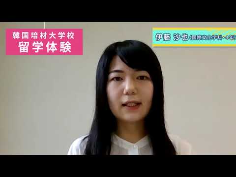 韓国　培材大学留学体験