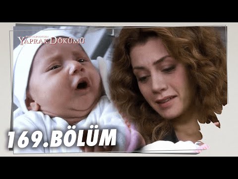 Yaprak Dökümü 169. Bölüm - Full Bölüm