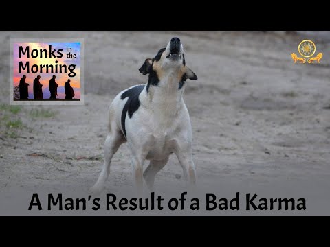 Monks in the Morning 117 Who was Subha? CullaKammaVibhanga Sutta pt 2