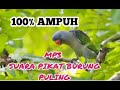 MP3 SUARA PIKAT BURUNG PULING