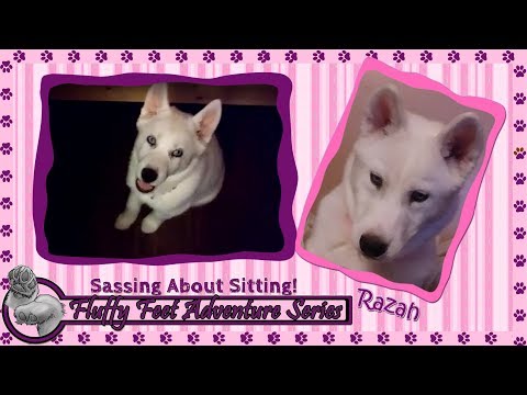 Sassing About Sitting!