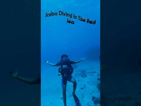 Scorpion Diving & Watersports