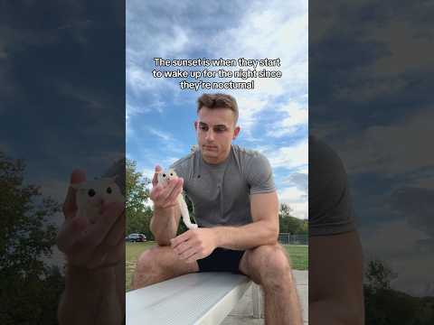 Subscribe to our instagram and I’ll tell you all my secrets