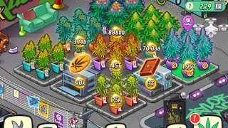 Wiz Khalifa&#39;s Weed farm. Money glitch.