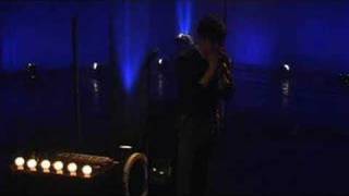 Casio-Six "You can't make a lion out of a butterfly" 2005