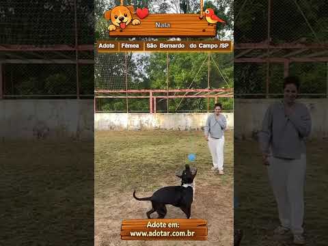 Vídeo de Nala