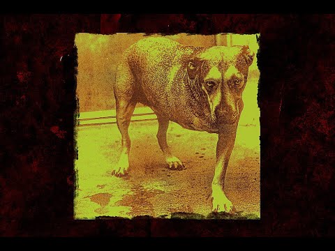 Alice In Chains - (Fan Edit 56 Minutes) Tripod - Three Leg Dog - 1995 Self Titled Album